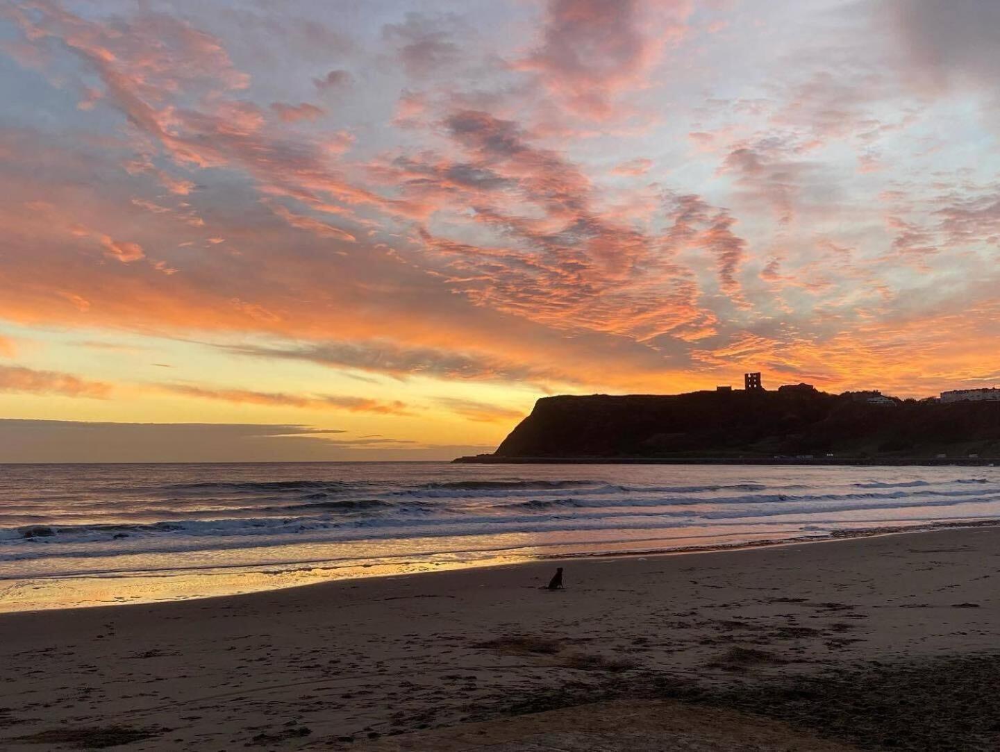 Seascape - Fantastic Location With Sea Views! Scarborough Exteriér fotografie